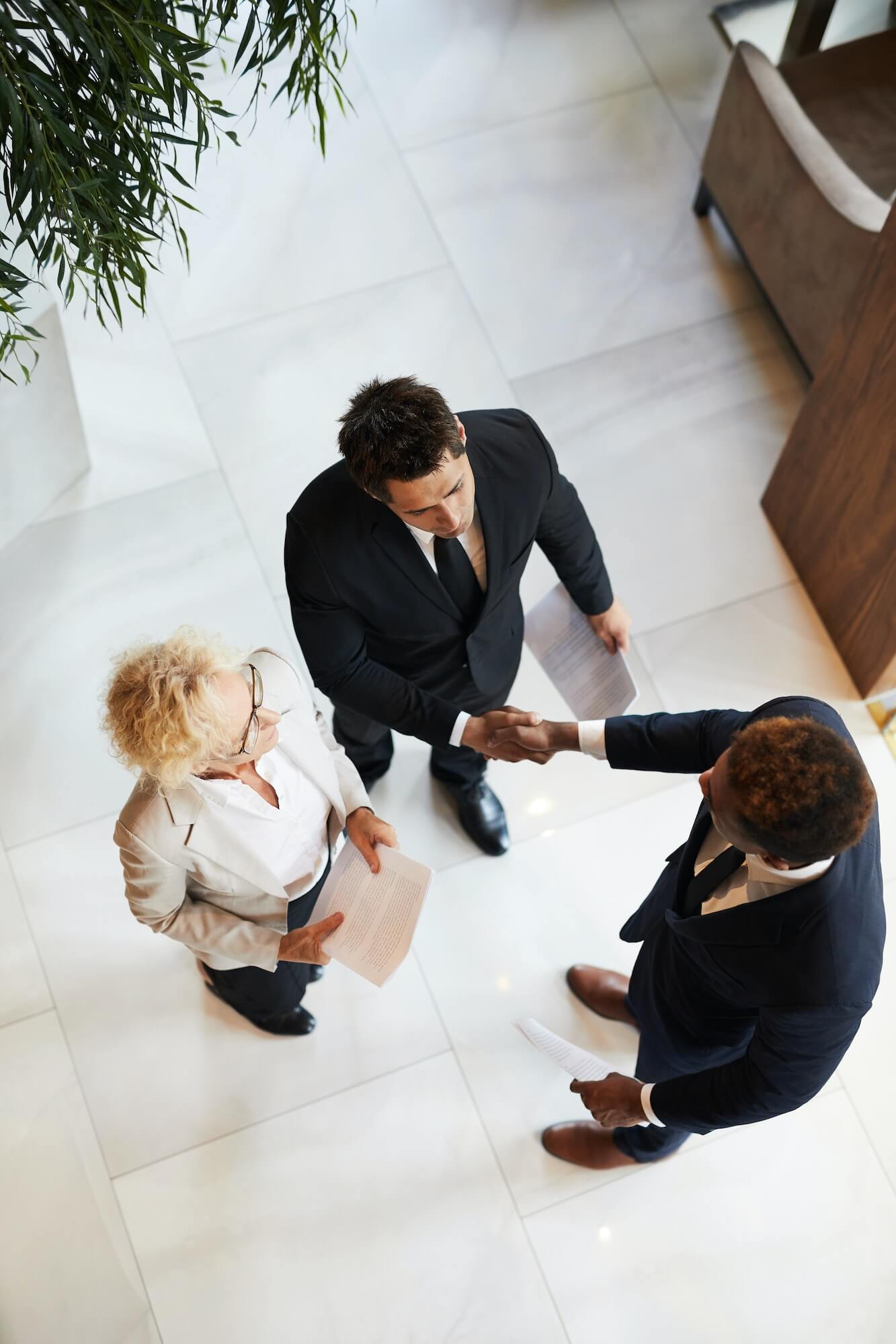 Staring collaboration with international company